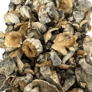 Pumpkin HillBilly Magic Mushroom