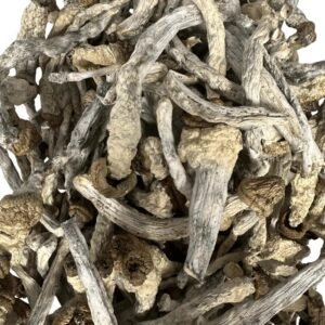 Slim Shady Magic Mushroom
