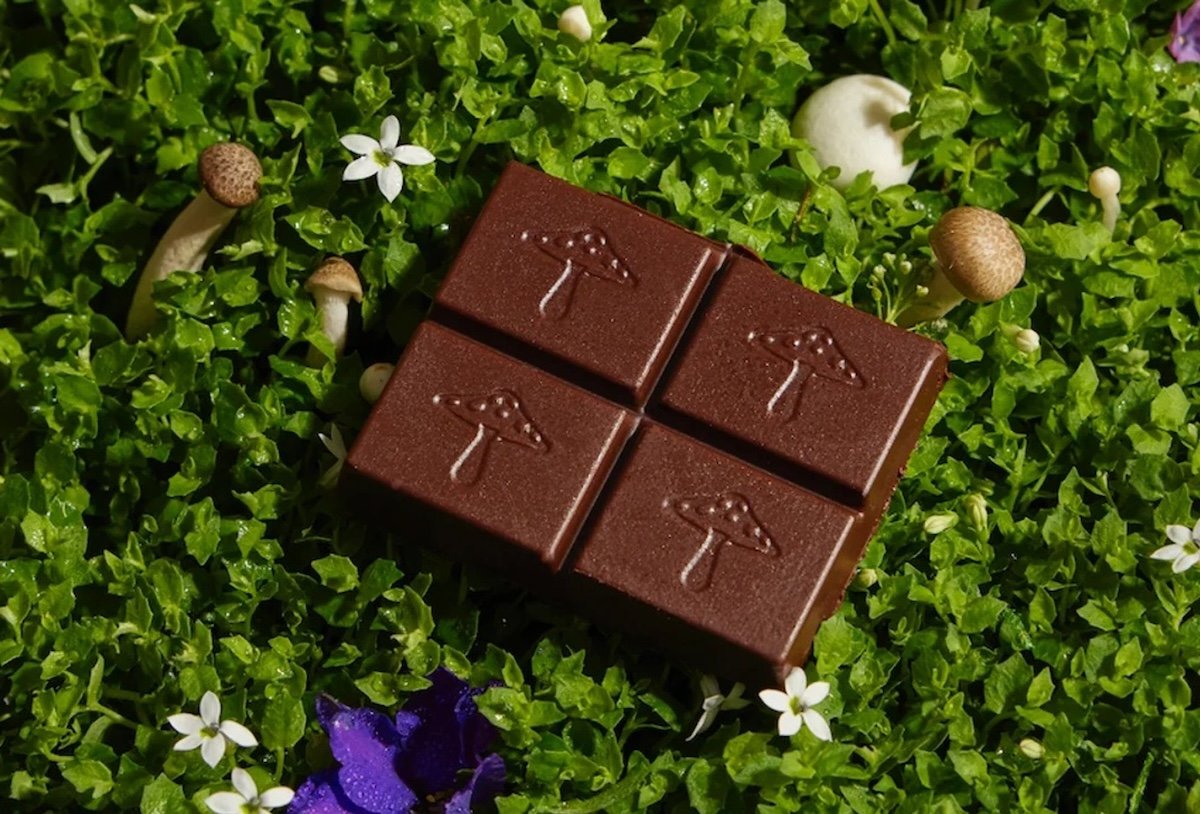 Buy Functional Mushroom Chocolate Online